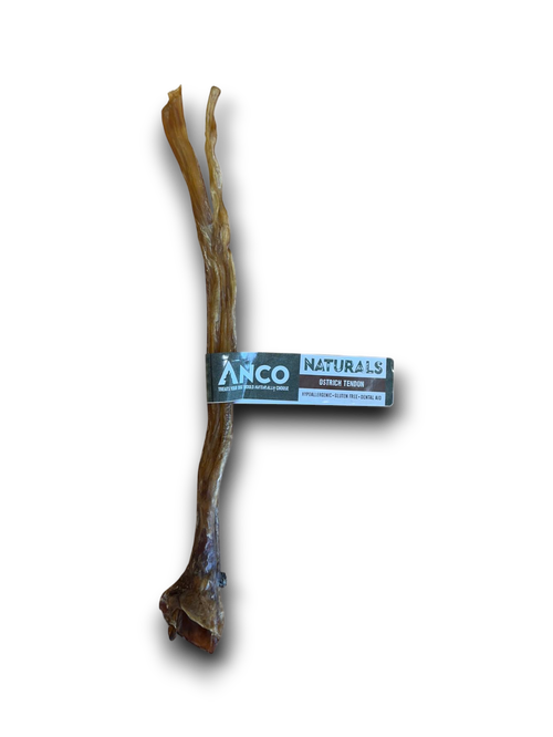 Anco | Large Ostrich Tendon