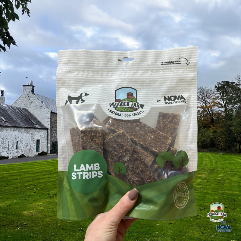 Paddock Farm | Lamb Strips 500g