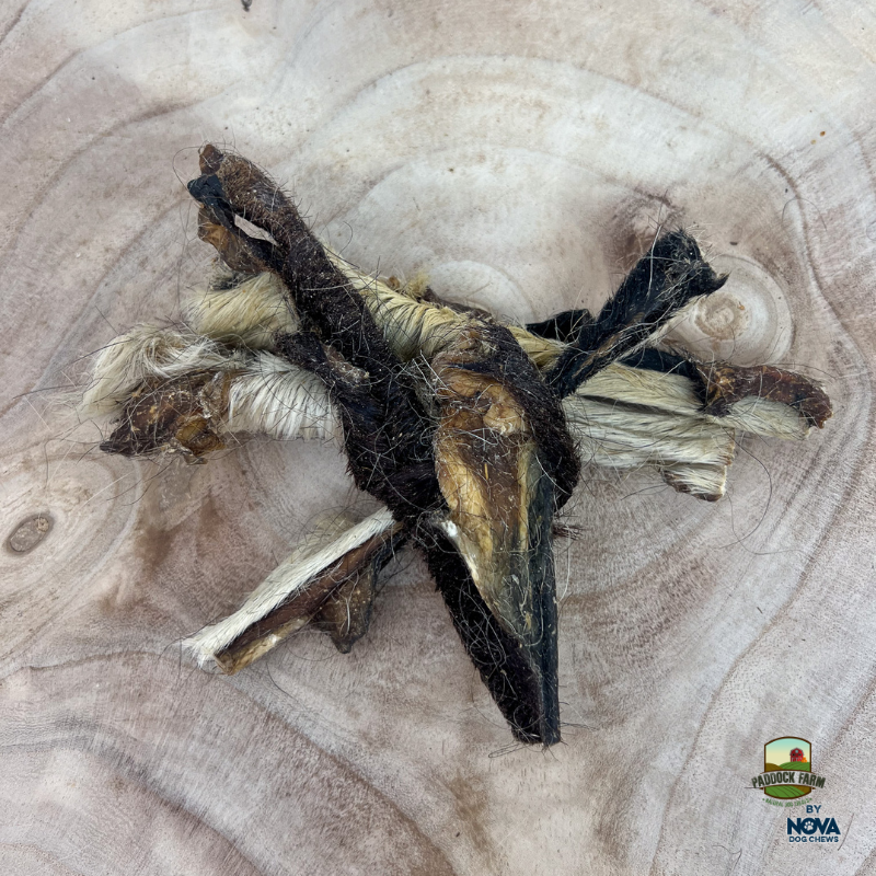 Nova | Hairy Lamb Skin