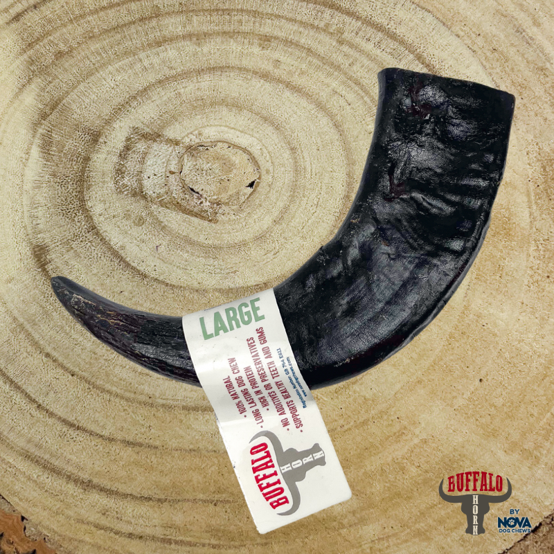 Nova | Buffalo Horn Large