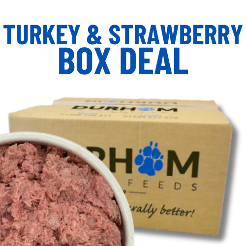 Durham | Turkey & Strawberry Mince | Whole Box 14 x 454g