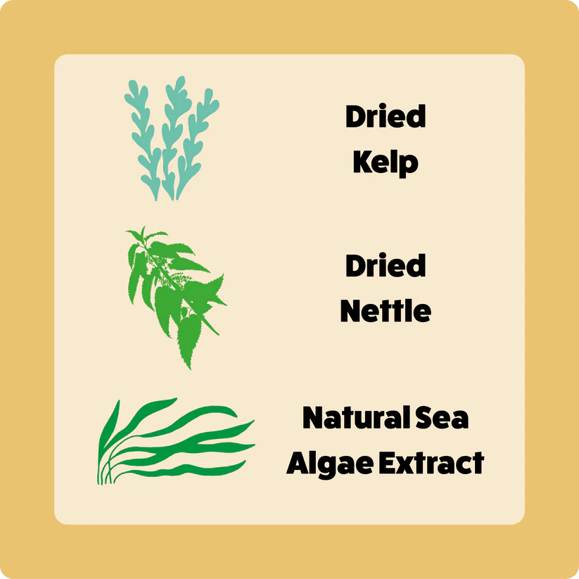 Axel's Elixir | Turkey Happy Bones For Cats