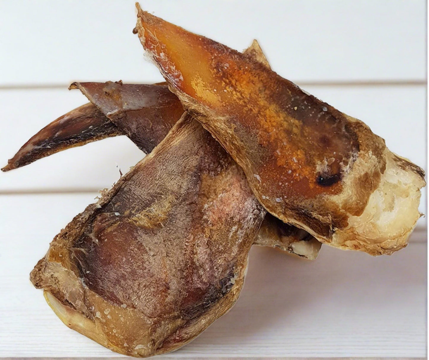 Nova | Beef Cartilage (Moon bone) large