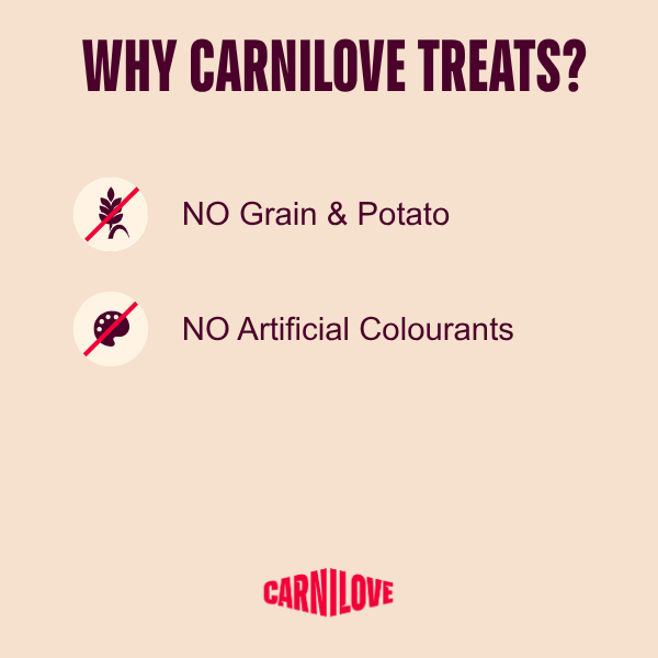 Carnilove | Salmon with Thyme soft treats for dogs
