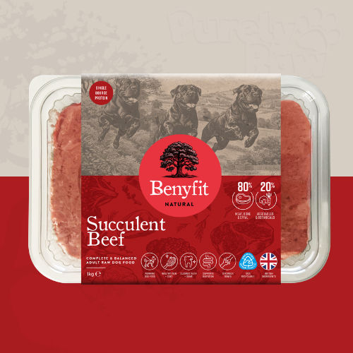 Benyfit Natural | Succulent Beef Complete 1kg