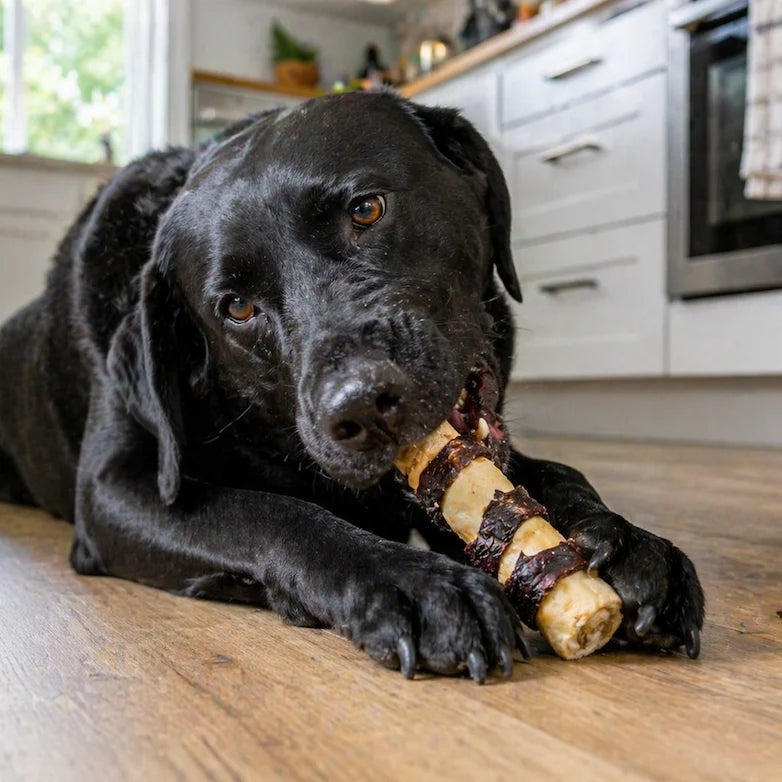 Nutriment | Biltong Wrapped Buffalo Tail
