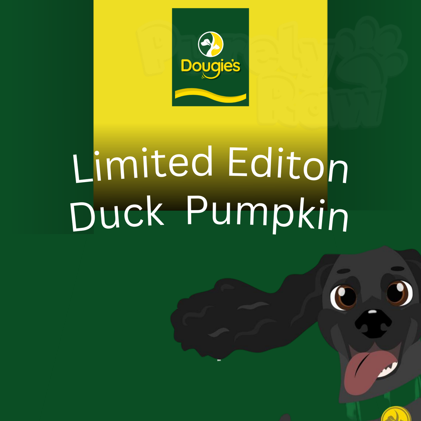 Dougie's | Duck & Pumpkin Mince 80:10:10 560g