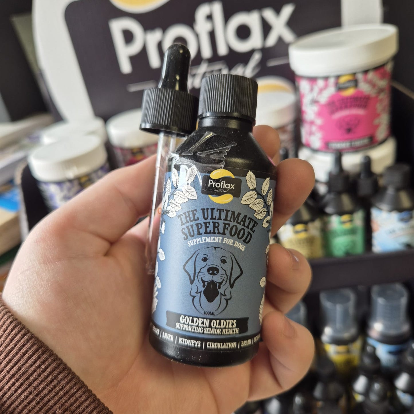 Proflax | Golden Oldies For Dogs 100ml