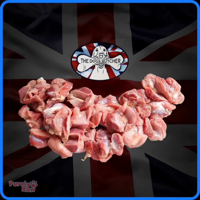 The Dogs Butcher | Chicken Gizzard 1kg