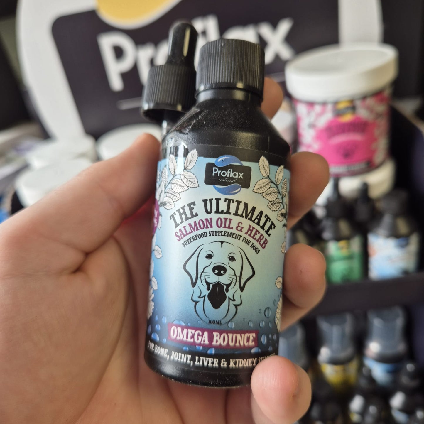 Proflax | Omega Bounce For Dogs 100ml