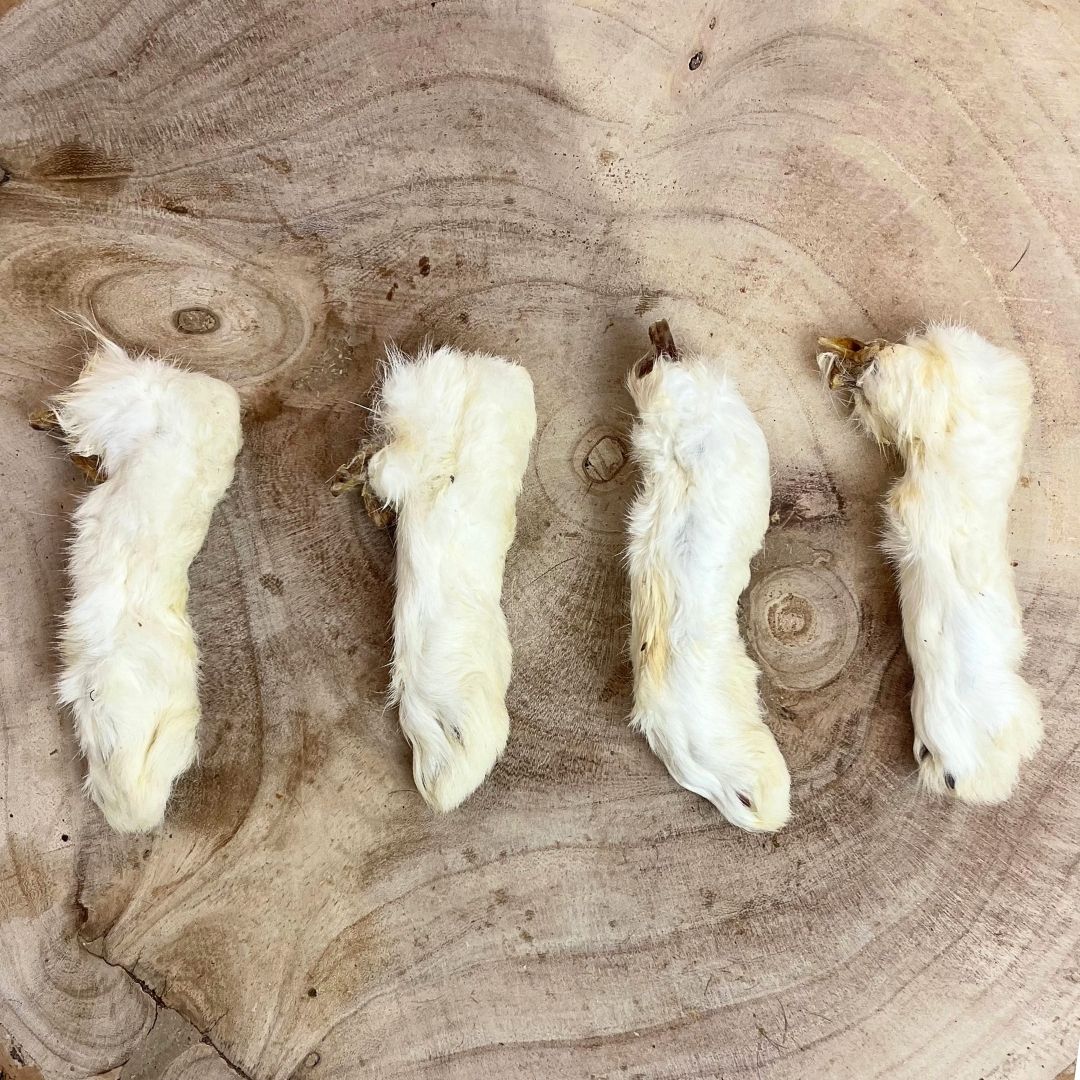 Nova | Hairy Rabbit Feet