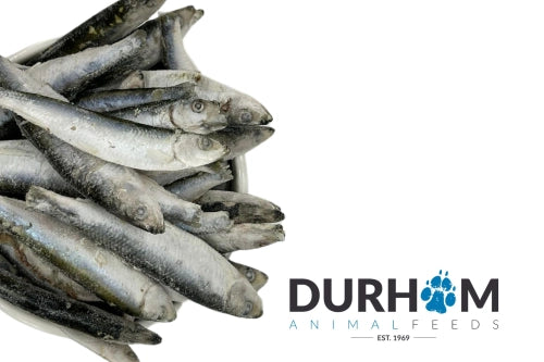 Durham | Sprats 1kg