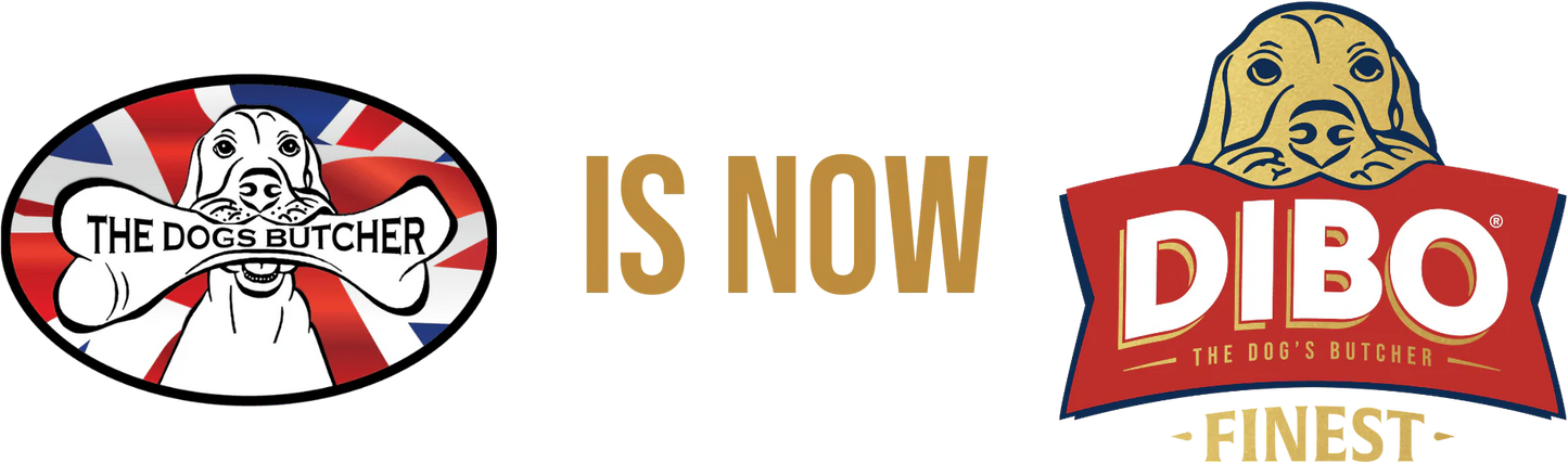 DIBO Finest | Boneless Meaty Ox Mince 1kg