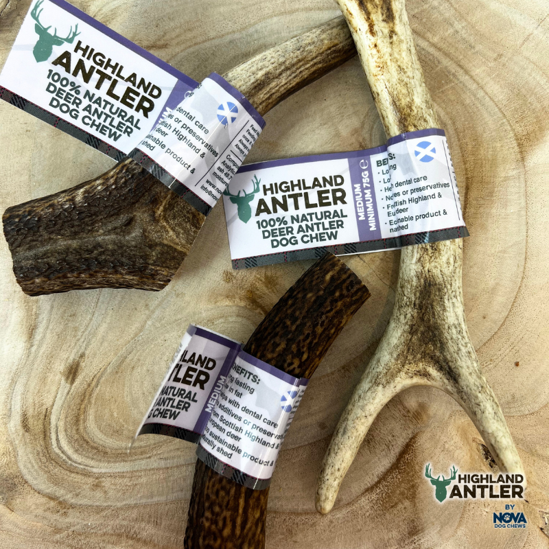 Highland Antler Deer Antler Medium (Min 75g)