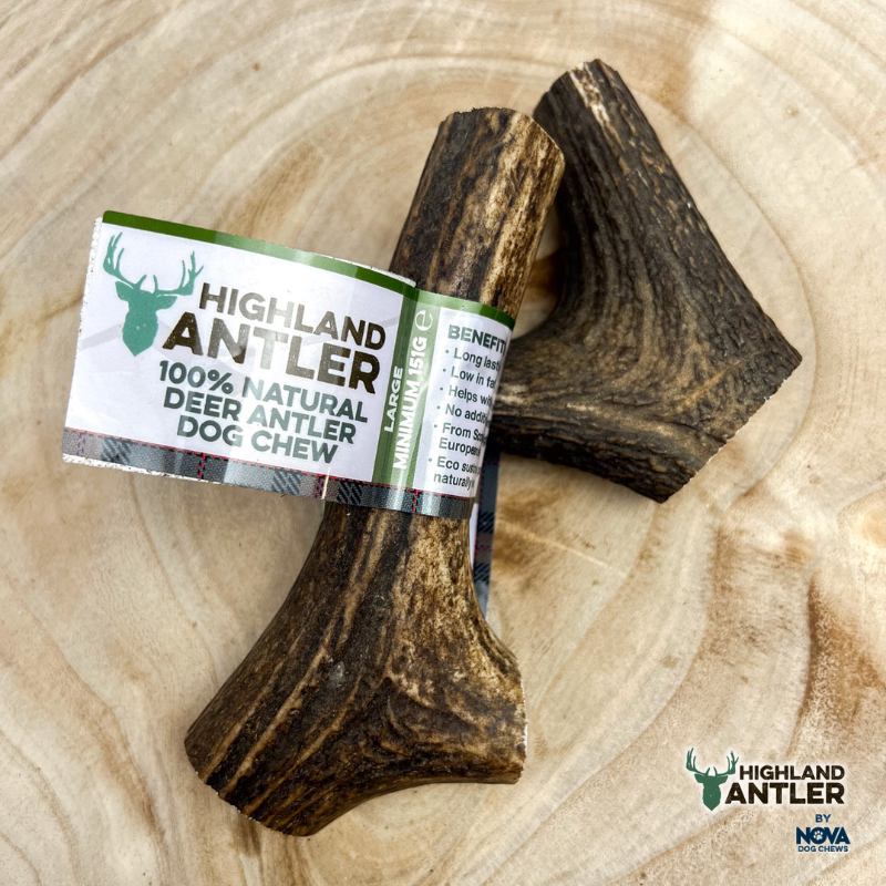 Highland Antler Deer Extra Large (Min 220g)
