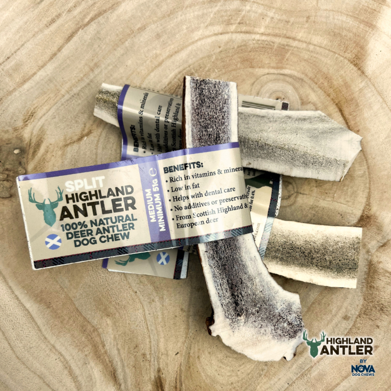 Highland Antler Split Deer Antler Medium (51-80g)