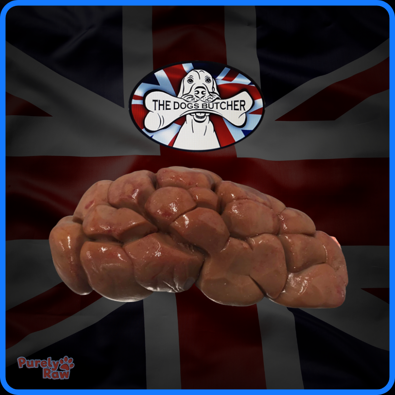 The Dogs Butcher | Ox Kidney 500g