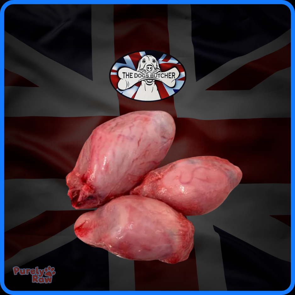 The Dogs Butcher | Lamb Testicles 500g