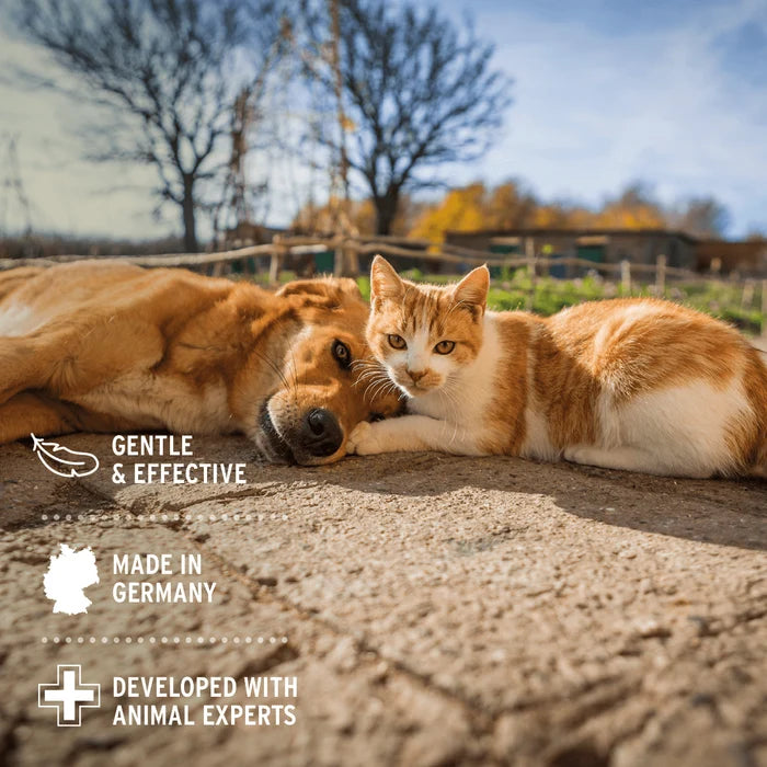 Aniforte | Relax Spray 100ml
