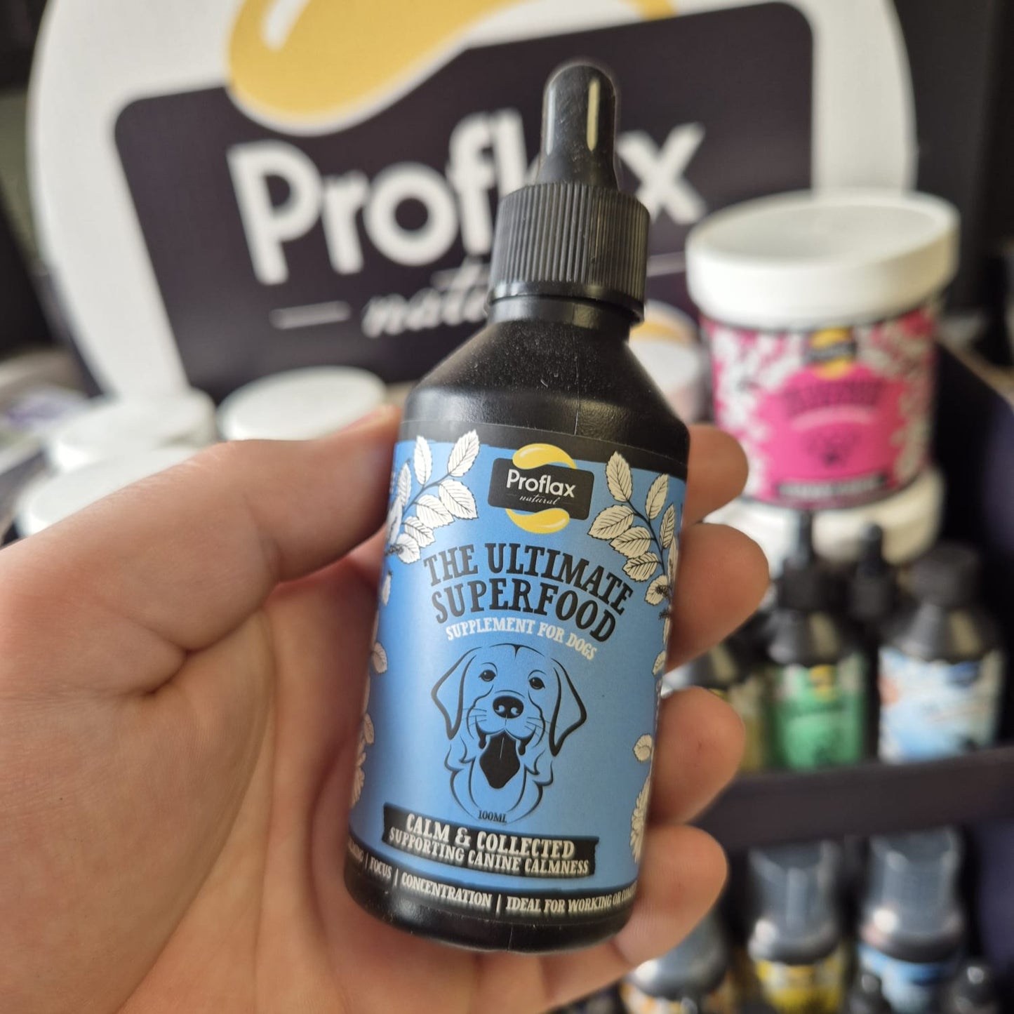 Proflax | Calm & Collected For Dogs 100ml