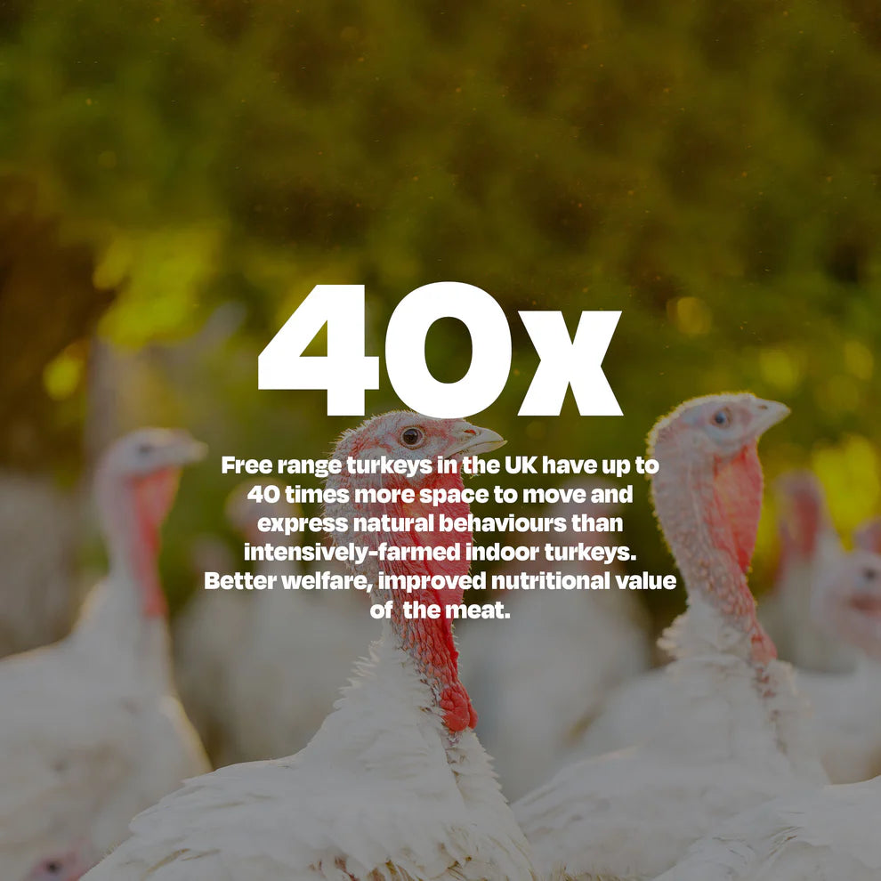 Naturaw | Free Range Turkey & Whitefish