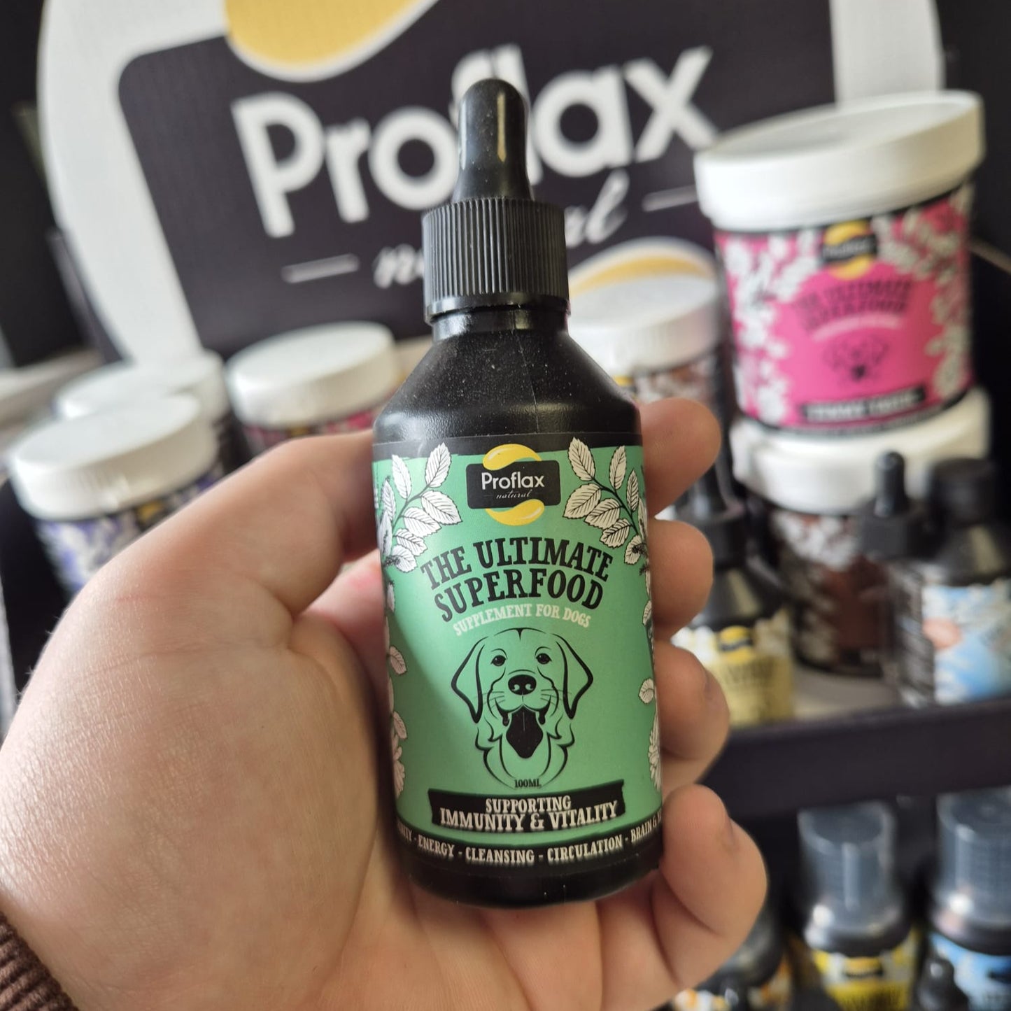 Proflax | Immunity & Vitality For Dogs 100ml