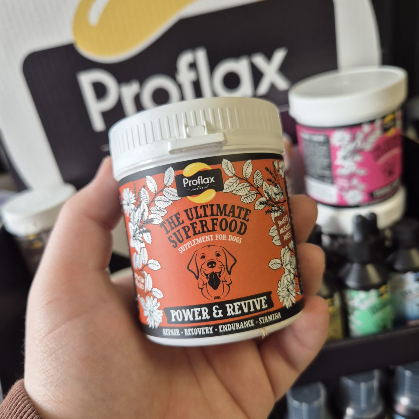 Proflax | Power & Revive For Dogs 100g