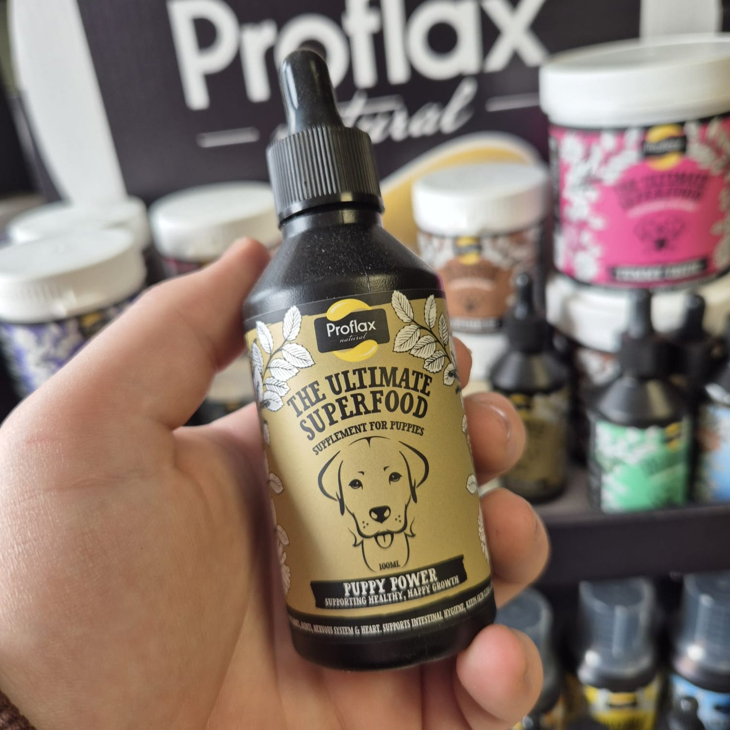 Proflax | Puppy Power For Dogs 100ml