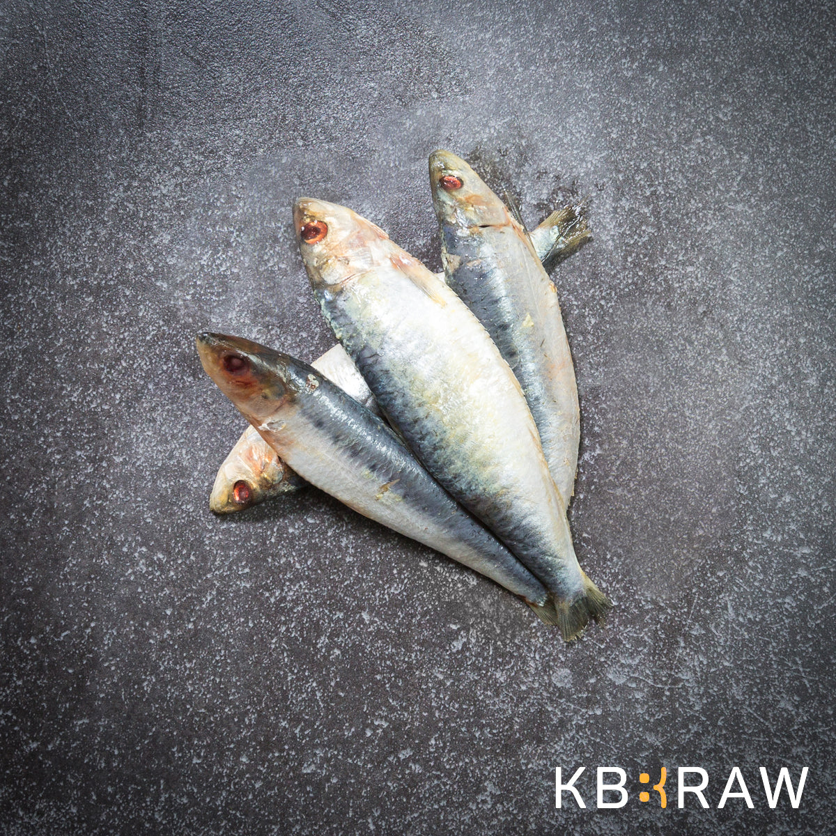 Kiezebrink | Sardines 1kg