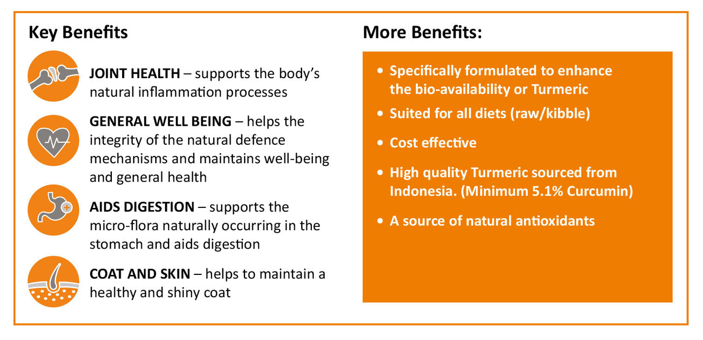 Golden Turmeric Paste