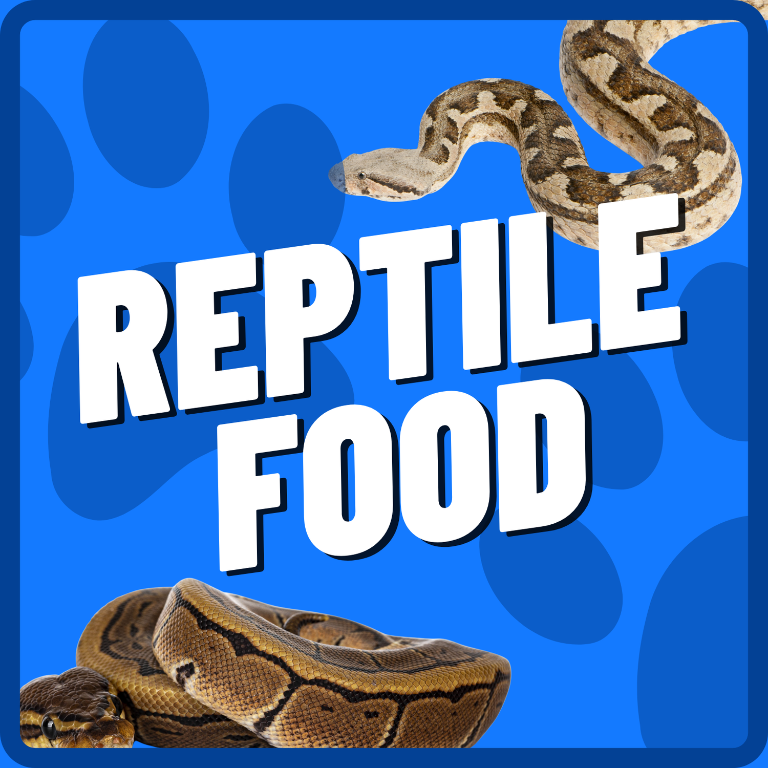 Reptile Food