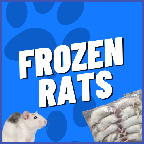 Rats