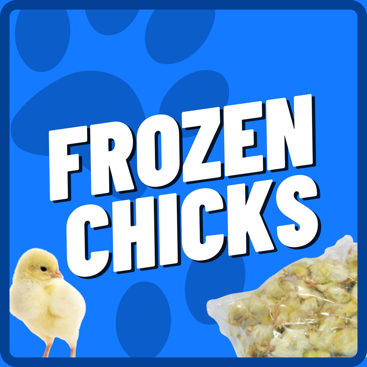Chicks