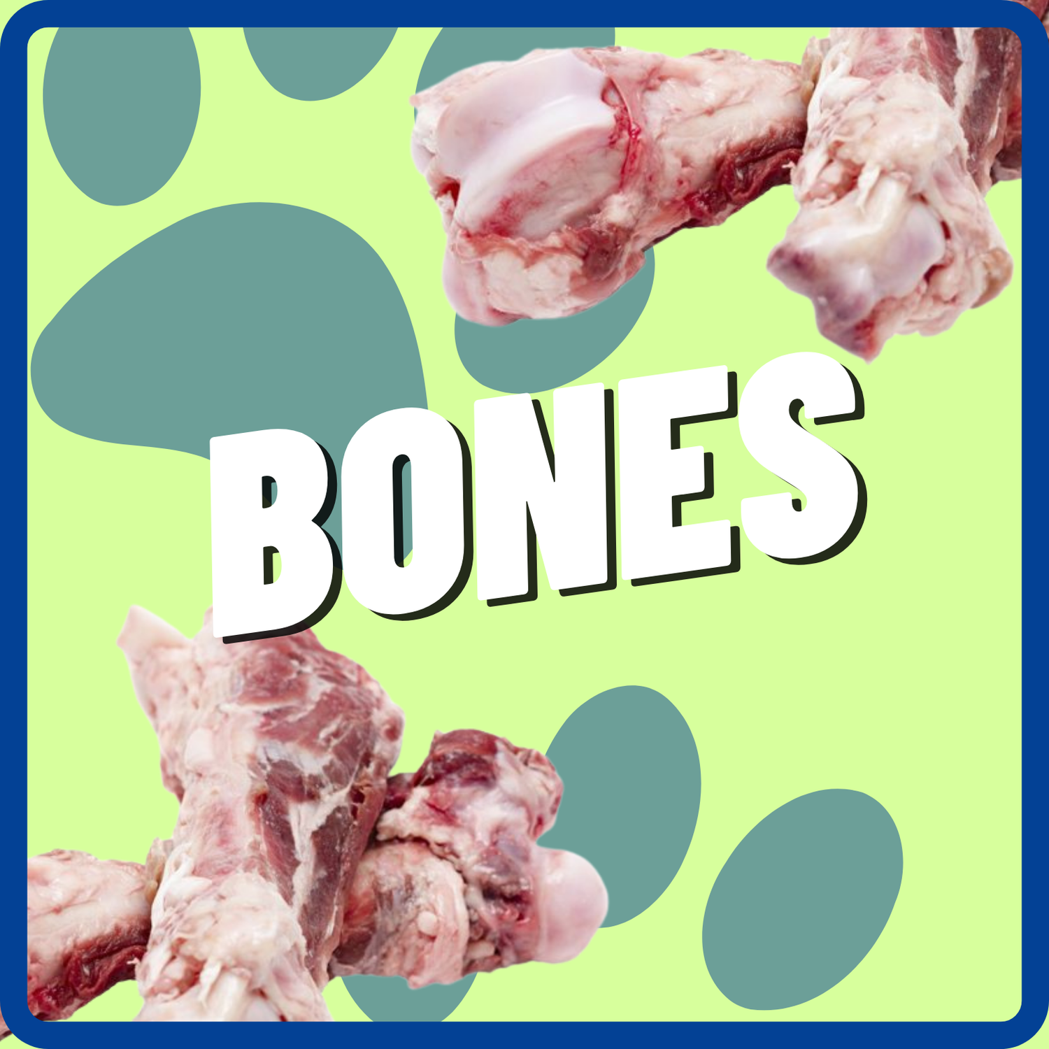 Bones