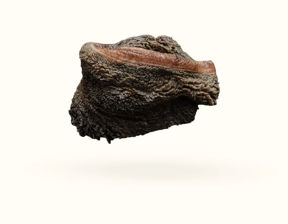 The Dogs Butcher | Ox Tripe Chunks 1kg