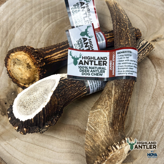 Highland Antler Deer Antler Jumbo (Min 270g)