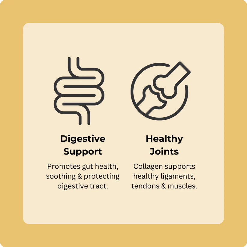 Axel's Elixir | Turkey Happy Bones For Cats