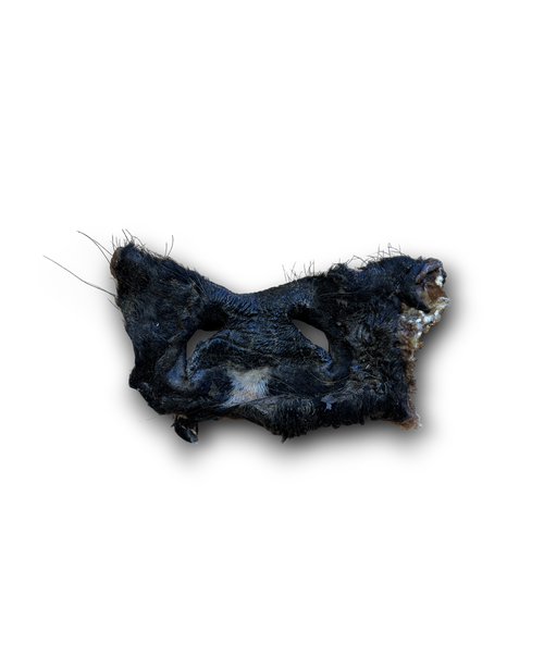 Nova | Hairy Beef Snout