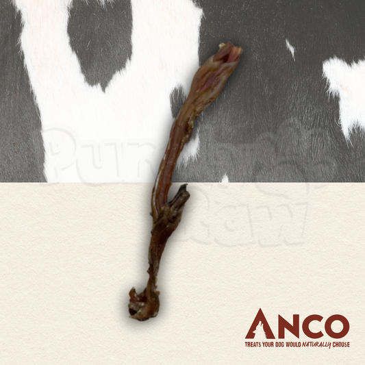 Anco | Beef Tendon