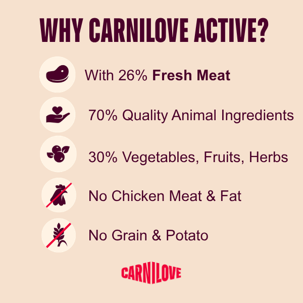 Carnilove | Active Dog Salmon & Turkey