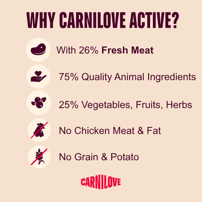 Carnilove | Active Dog Salmon & Turkey Small Breed