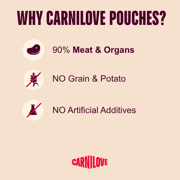 Carnilove | NEW Gravy Pouch Rich in Quail with Dandelion for Cats 85g