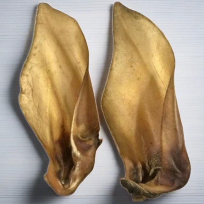 Nova | Large Buffalo Ear(s)