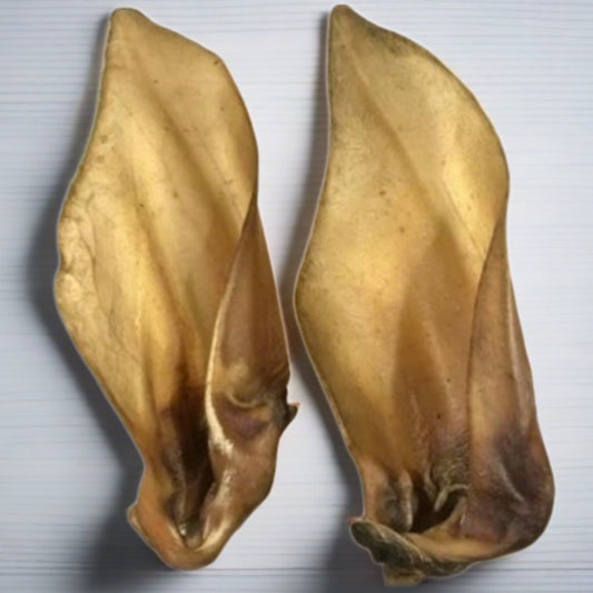Nova | Large Buffalo Ear(s)