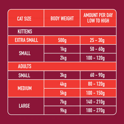 Nutriment | Cat Raw Beef 500g