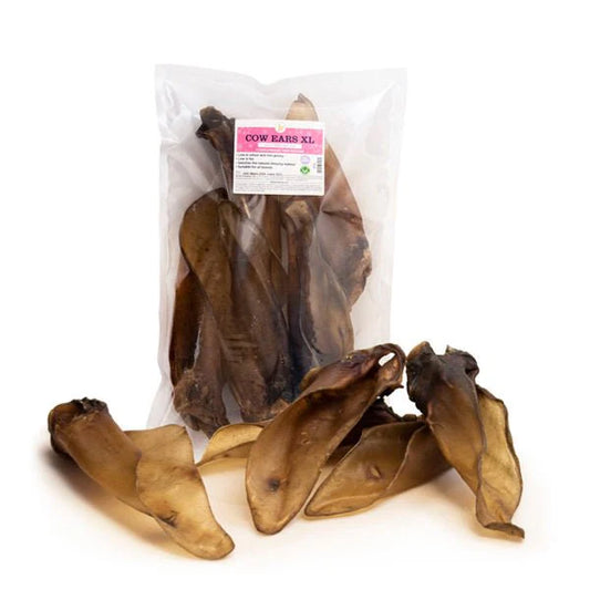 JR | Cows Ears XL (15 Pack)