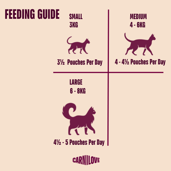 Carnilove | NEW Gravy Pouch Rich in Pheasant with Raspberry Leaves for Cats 85g