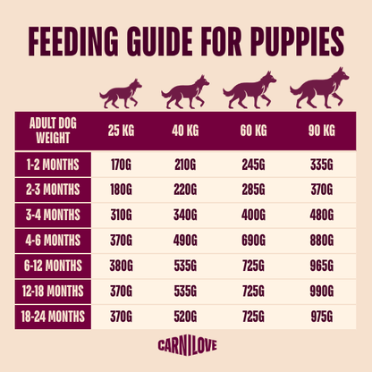 Carnilove | Active Dog Salmon & Turkey Junior Large Breed