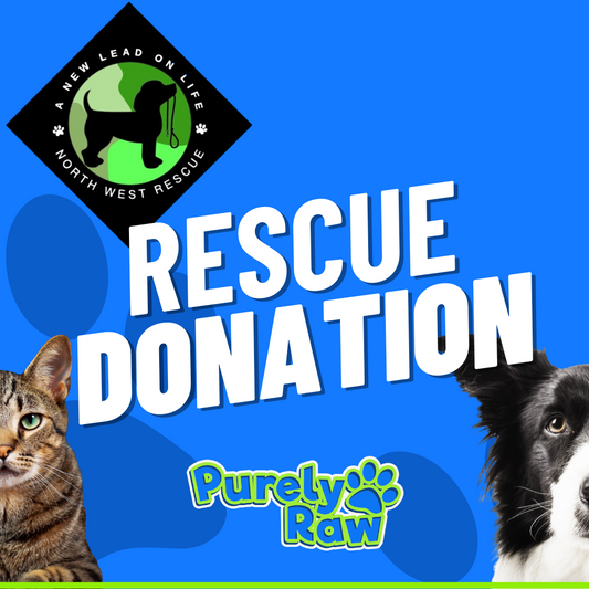 Help...A New Lead on Life - North West