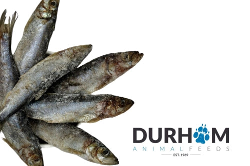 Durham | Herring 1kg